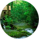 Bade profil fotoğrafı