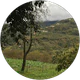 Bulent AYDIN profil fotoğrafı