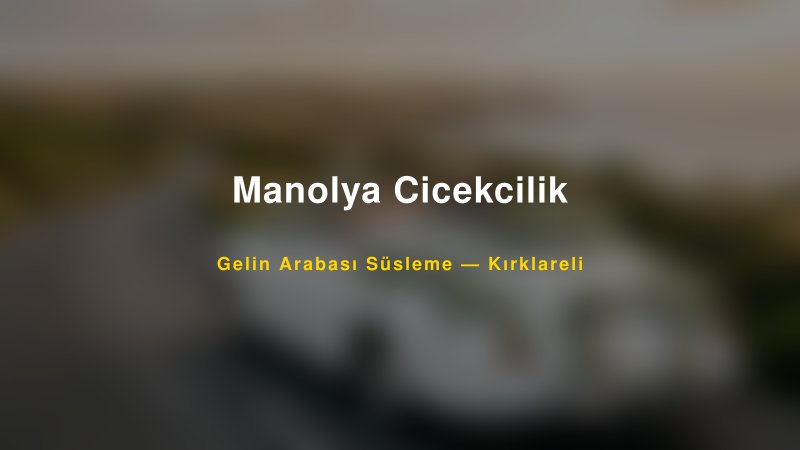 Manolya Cicekcilik ile Trend Gelin Arabası Yazıları ve Konseptleri — 1