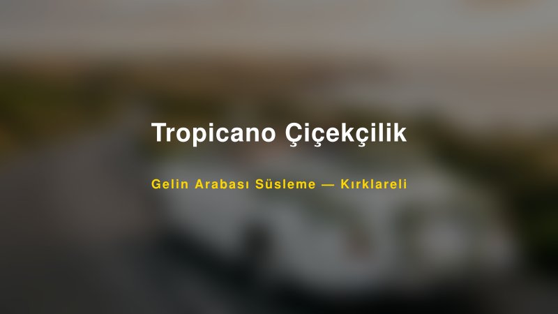 Tropicano Çiçekçilik Gelin Arabası Süsleme Fiyatları — 1